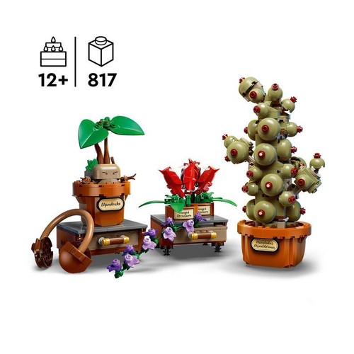 Lego harry potter - lego,